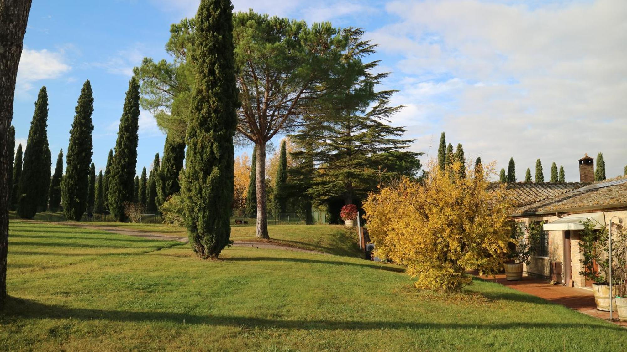 Agriturismo La Sovana Villa Sarteano Esterno foto