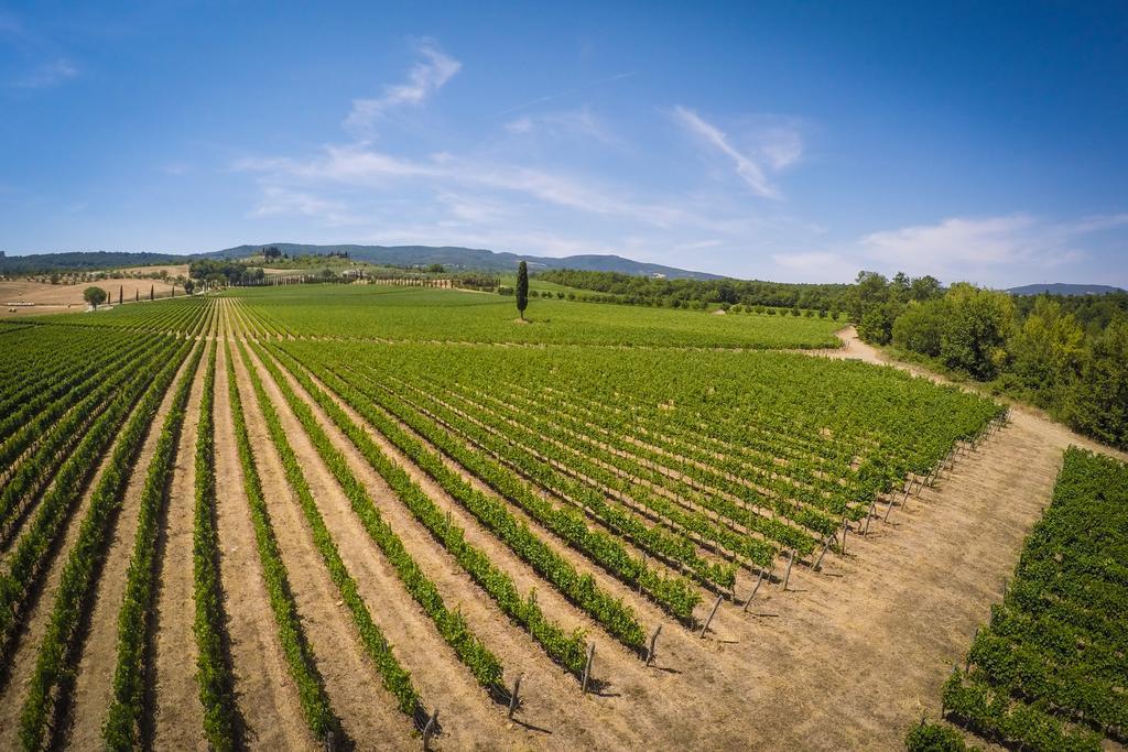 Agriturismo La Sovana Villa Sarteano Esterno foto